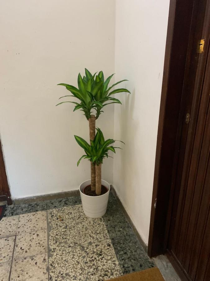 Pisa Train Station Guest House 外观 照片